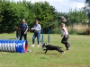 agility-2015-073