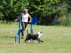 agility-2015-074