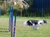 agility-2015-076