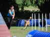 agility-2015-078