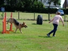 agility-2015-081