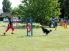 agility-2015-084