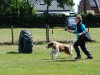 agility-2015-085