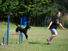 agility-2015-091