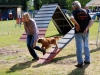 agility-2015-105