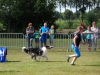 agility-2015-115