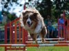 agility-2015-123