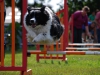 agility-2015-128