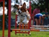 agility-2015-129