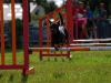 agility-2015-134