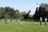 Wedstrijd-@-Filos-2024-177